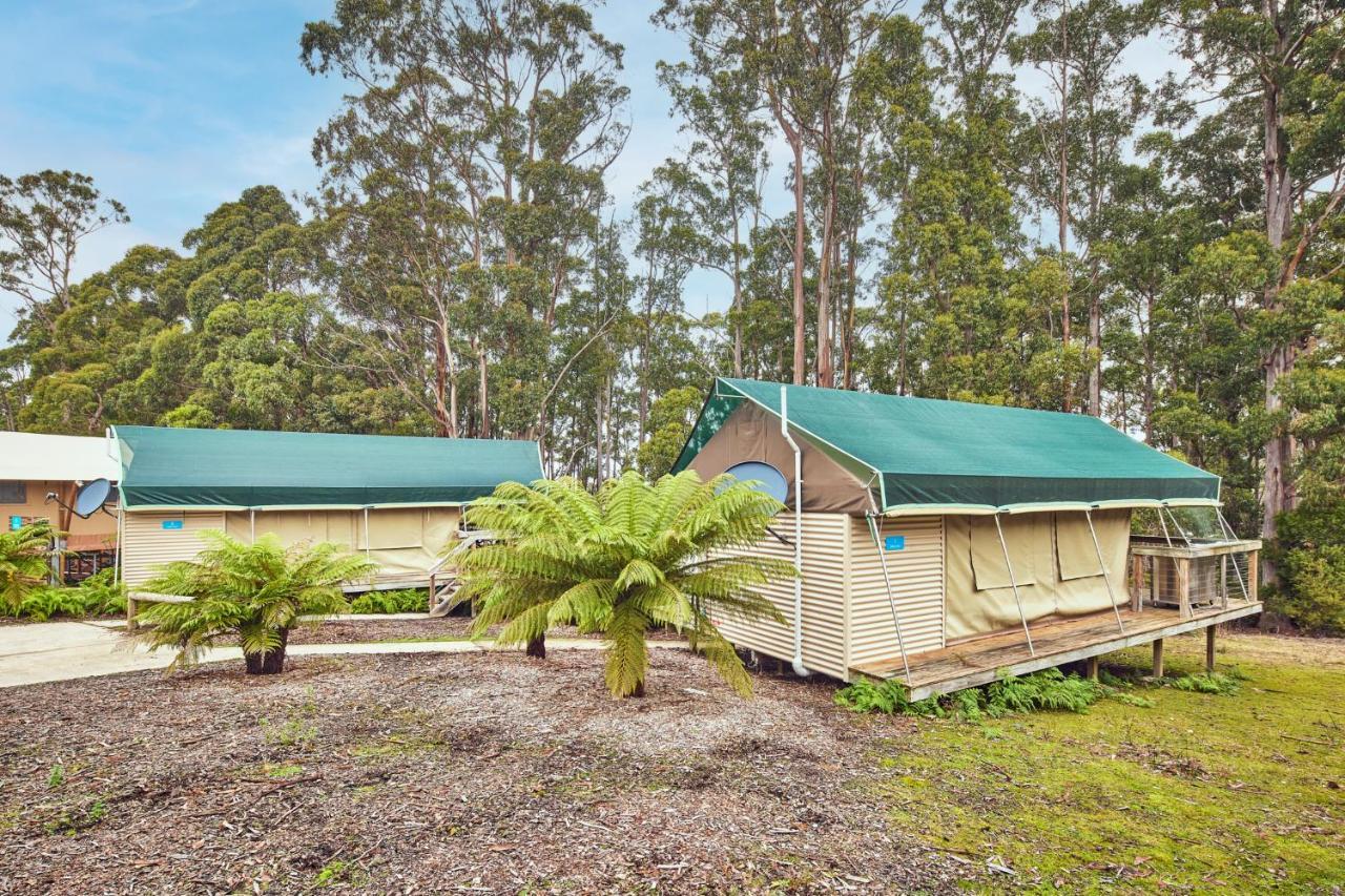 Nrma Port Arthur Holiday Park Zewnętrze zdjęcie