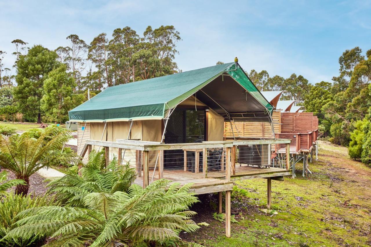 Nrma Port Arthur Holiday Park Zewnętrze zdjęcie