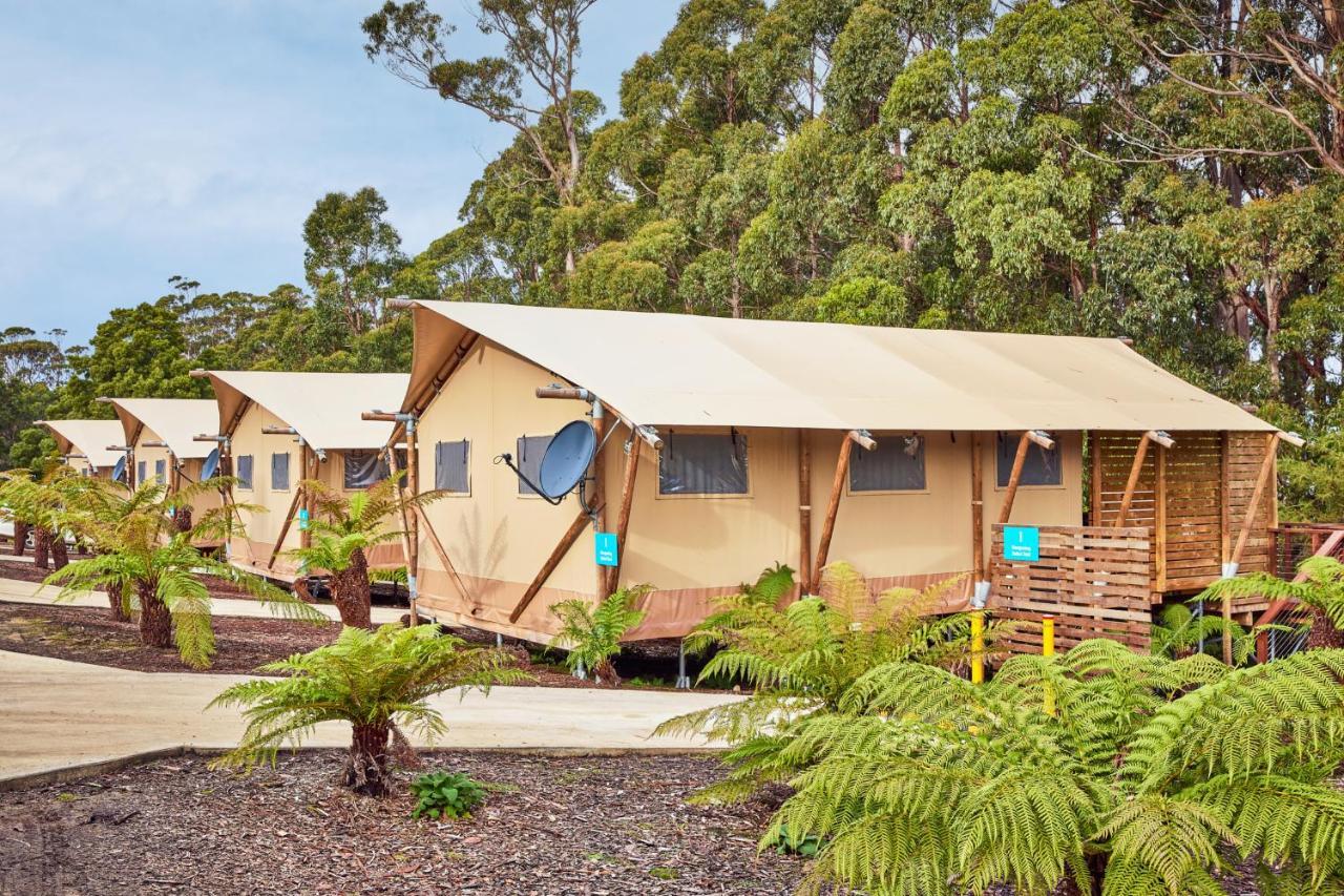 Nrma Port Arthur Holiday Park Zewnętrze zdjęcie
