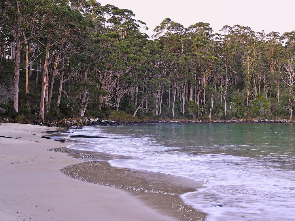 Nrma Port Arthur Holiday Park Zewnętrze zdjęcie